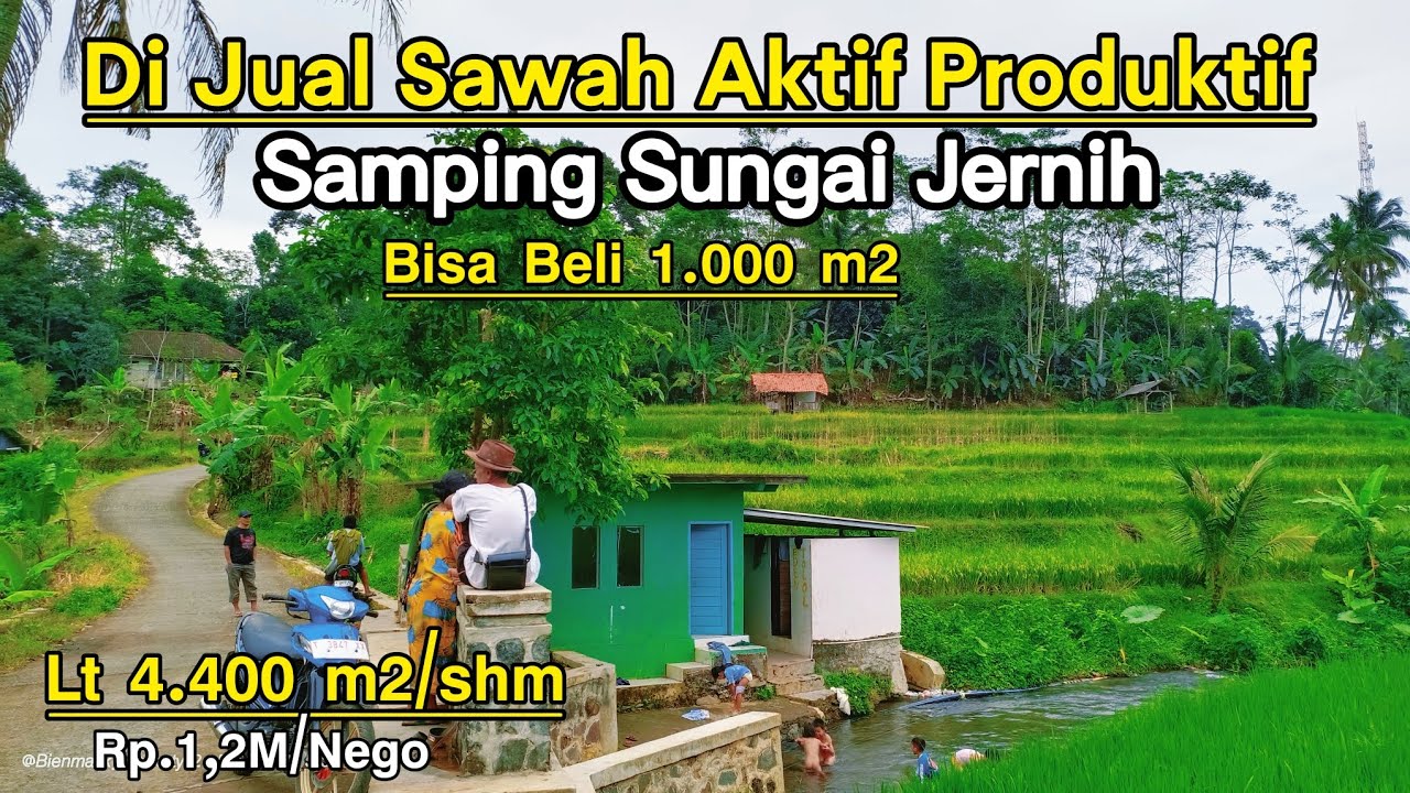 🏞️ Dijual Tanah Sawah Aktif & Produktif – Pinggir Jalan & Sungai Jernih | Lokasi Strategis 