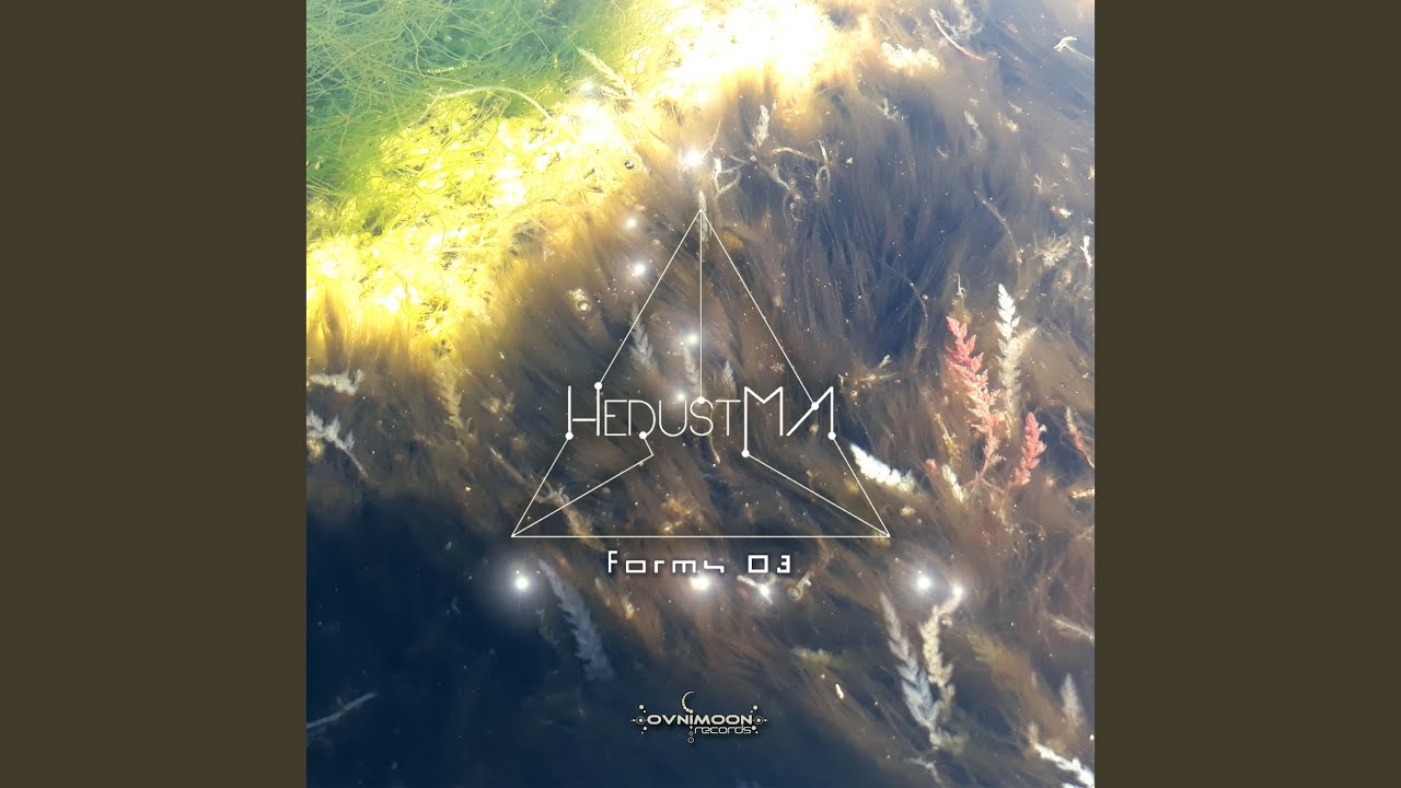 We Aren'T Ready To Understand