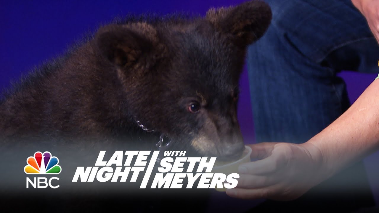 Baby Animals with the Kratt Brothers, Part 2 - Late Night with Seth Meyers
