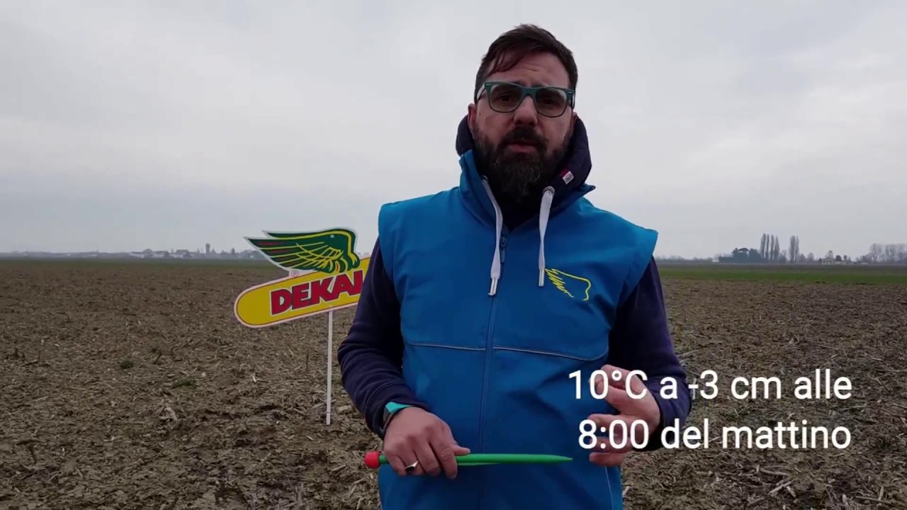 Quando seminare il mais ? è la temperatura del suolo che decide.