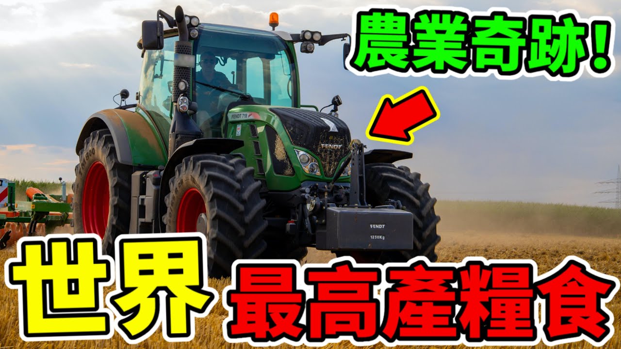 全球最高產的10種糧食作物！從廣闊麥浪到金黃稻田，人與自然共同書寫的農業奇跡！|奇趣燈塔 #糧食奇跡 #傳統農業 #top #top10 #世界之最 #四處觀察 #出類拔萃