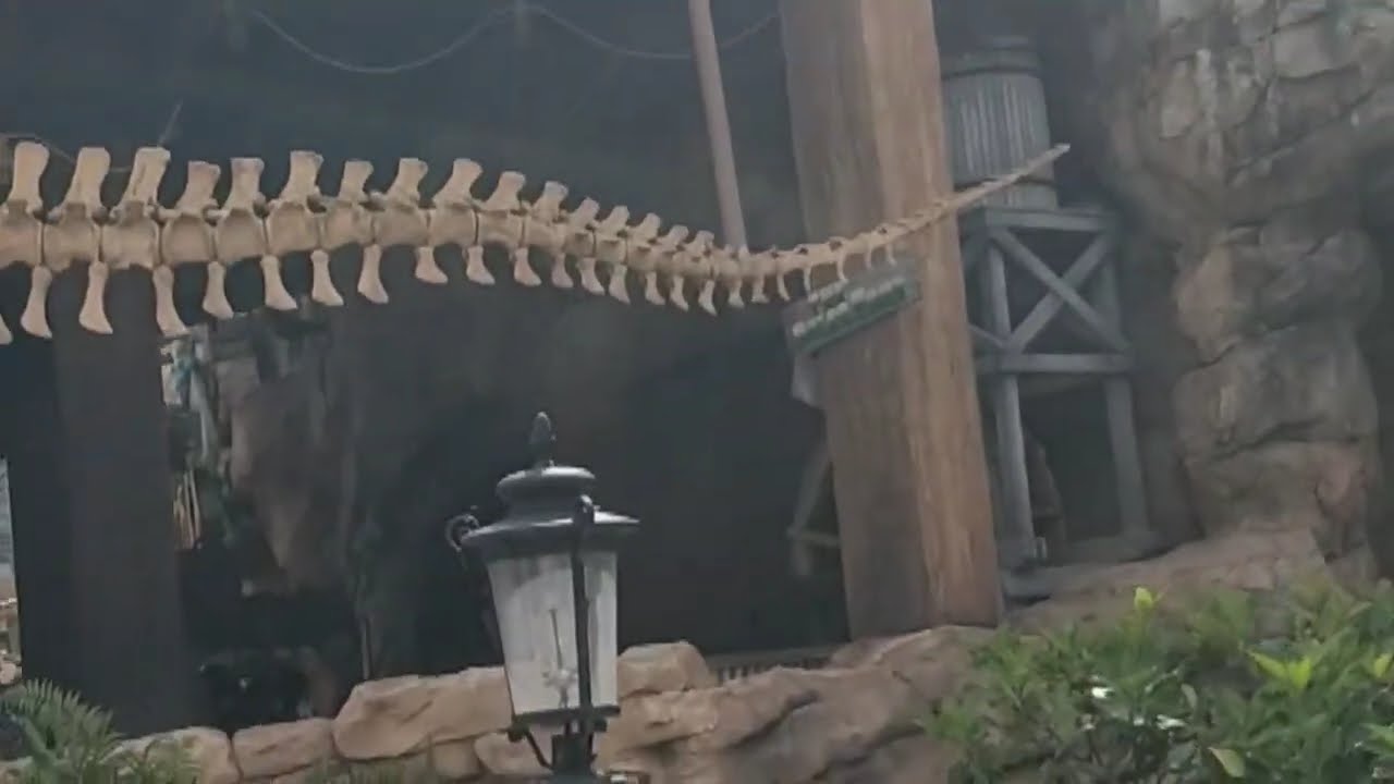 Trip To Florida | Disney World | Orlando | Travel