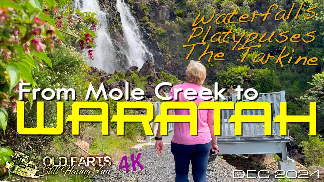 Mole Creek to Waratah Tasmania exploring rainforest, and seeing waterfalls and platypuses Dec 2024