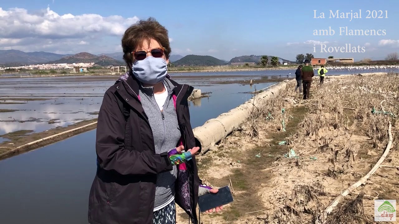 No és el Vietnam, és la Marjal plena de flamencs i rovellats