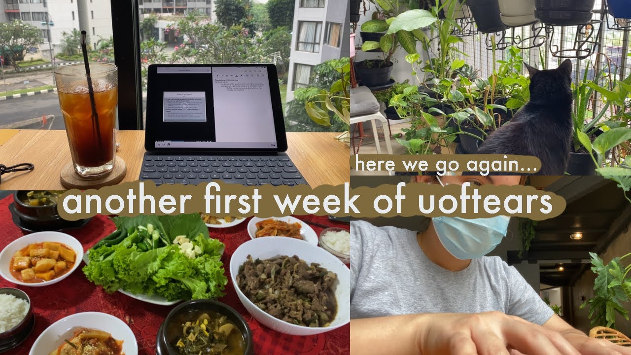 another first week at zoom uoftears 😔 [summer school at home/jakarta]