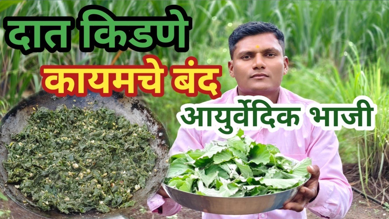 फक्त एकदा खाऊन पहा, दात किडणे दातातील कीड मुळासकट नष्ट करणारी अद्भुत रानभाजी  Aghada bhaji recipe