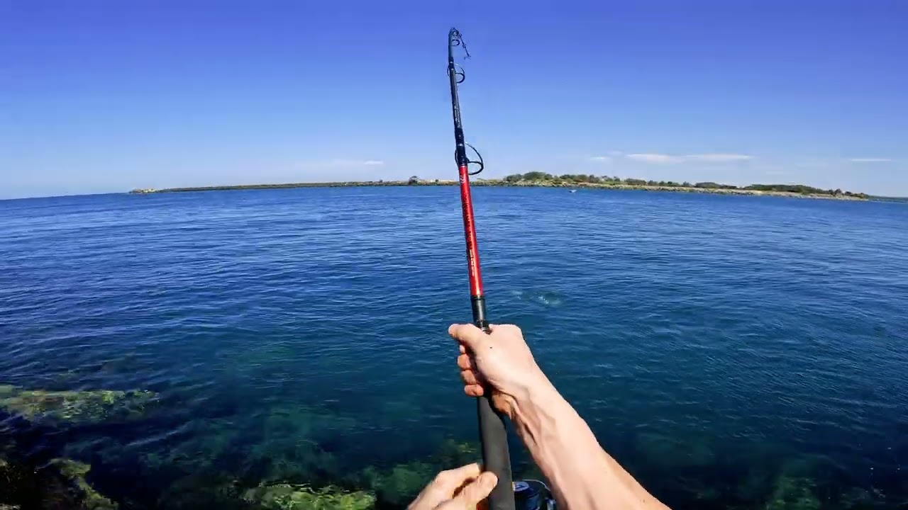 Epic Longtail Tuna in the river mouth!