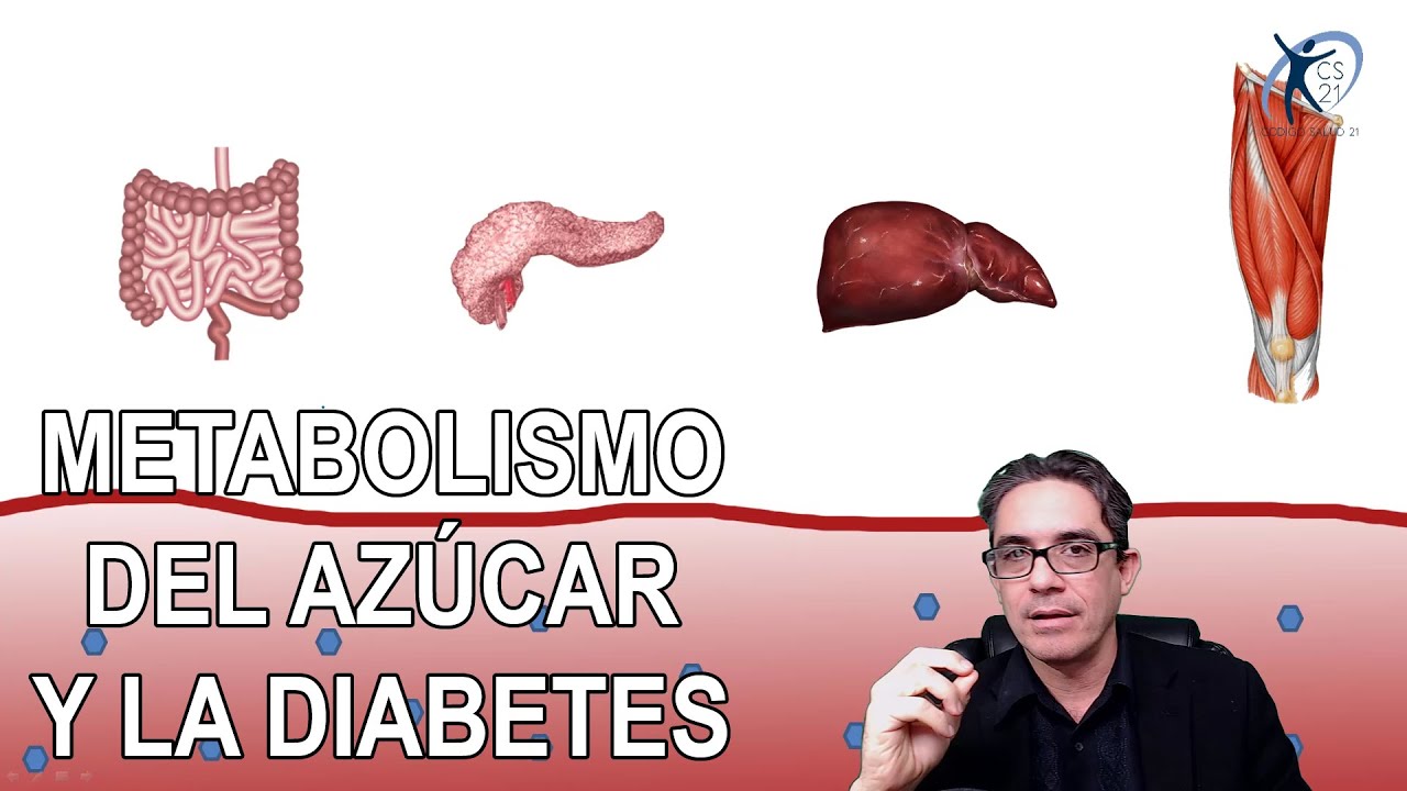 Metabolismo del azúcar y la diabetes