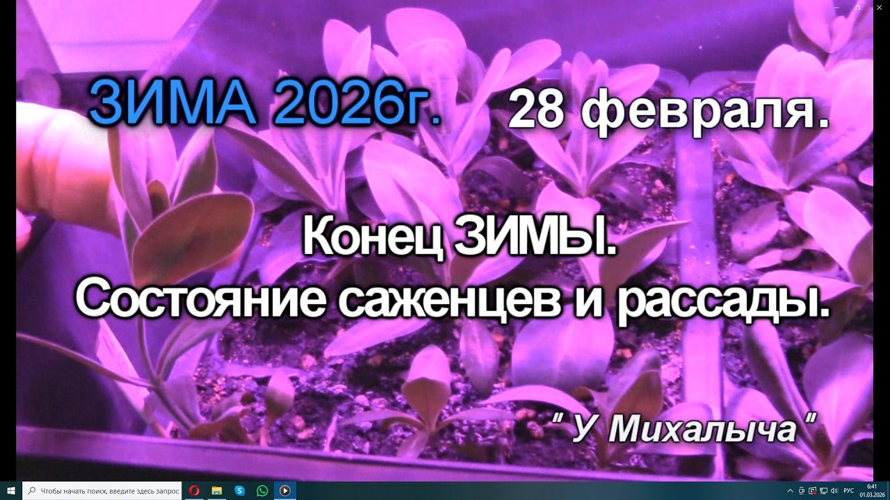 Зима ФЕВРАЛЬ  Конец зимы