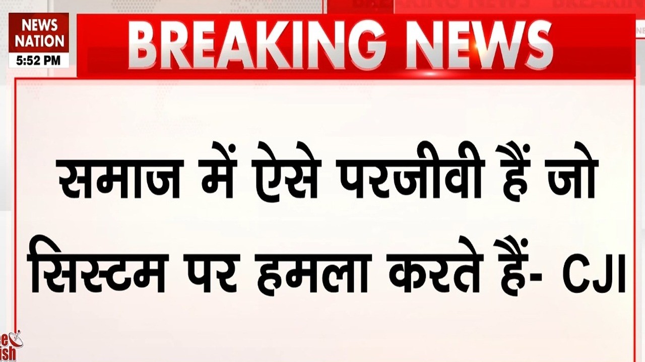CJI Surya Kant Statement: मुख्य न्यायाधीश CJI Surya Kant की टिप्पणी Viral, बेरोजगार को कहा कॉकरोच!