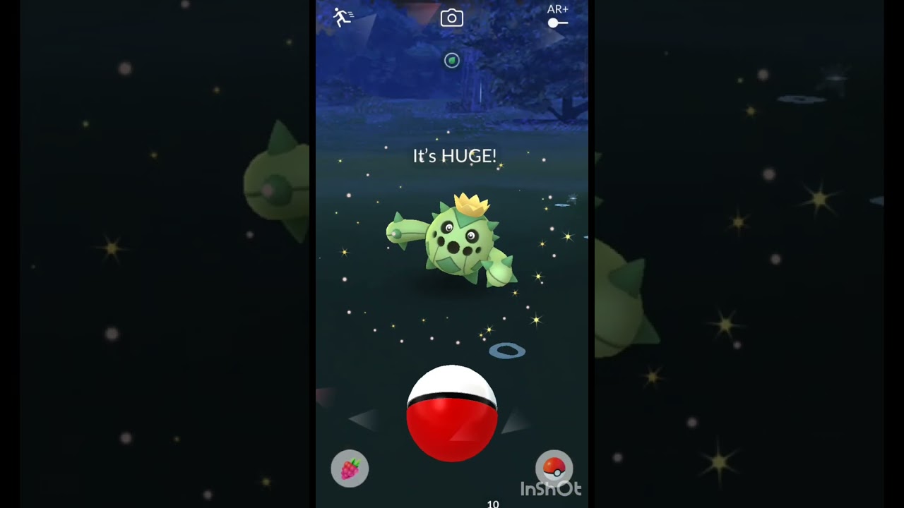 It is Huge! 🤯 | Cacnea 
