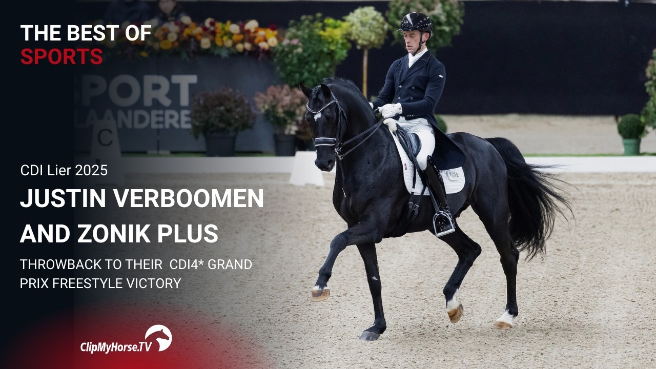 Justin Verboomen & Zonik Plus - CDI Lier 2025