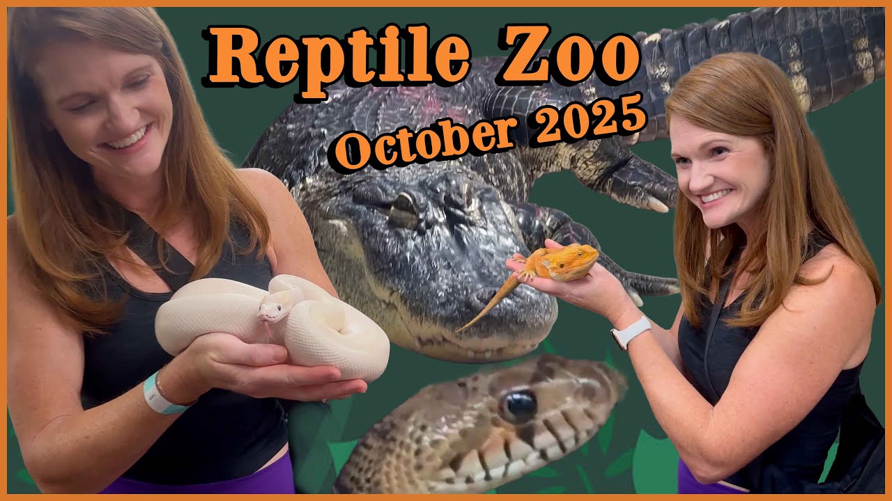 2025 10 Reptile Zoo in Huntington Beach