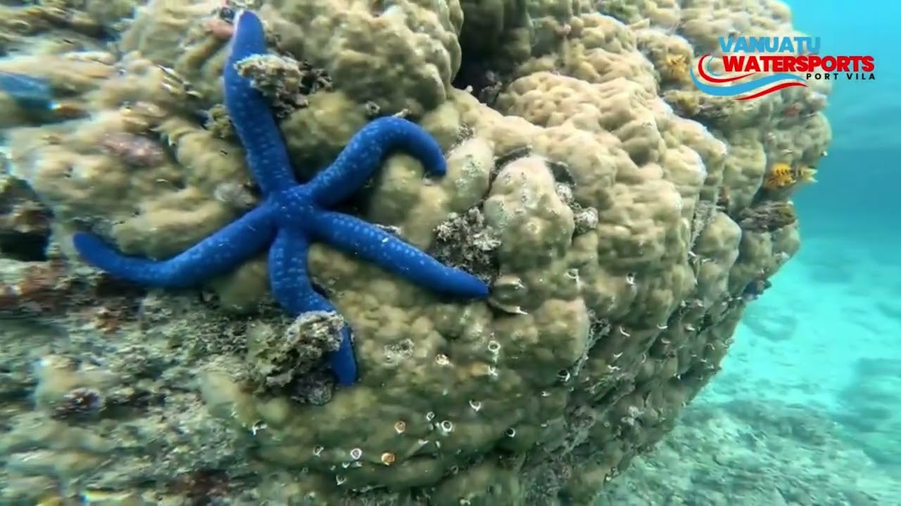 Vanuatu Watersports