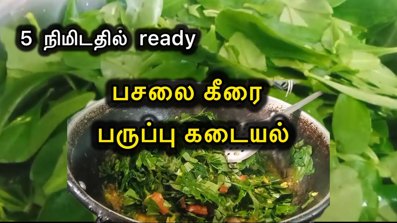 💥✨பசலை கீரை பருப்பு கடையல் recipe in tamil | pasalai spinach recipe #pasalaikeerai #tamil #spinach 