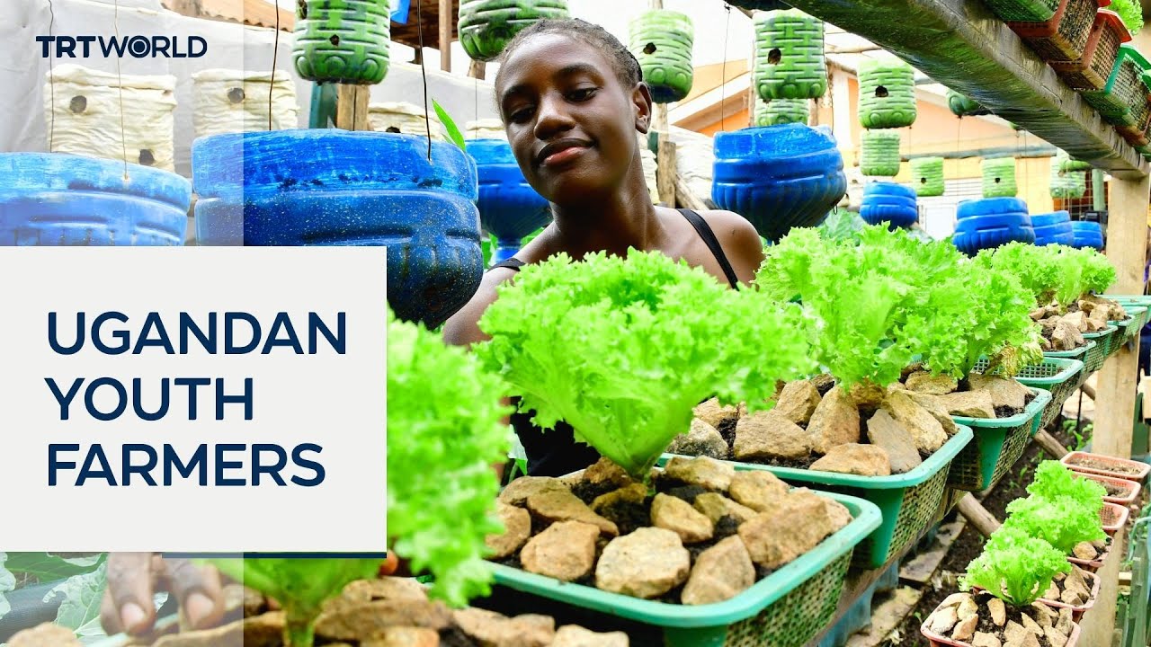 Urban farming offers new hope for Uganda&rsquo;s youth