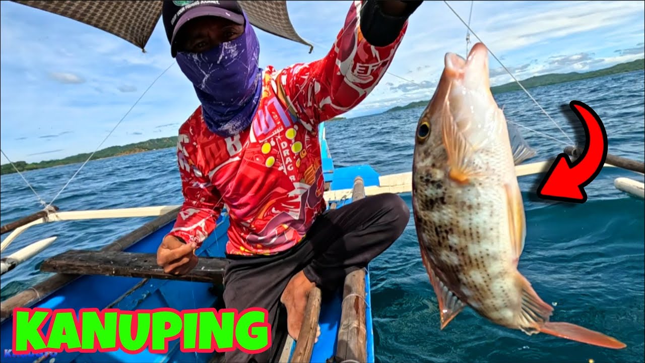 HANDLINE FISHING ASSORTED FISH PART 2