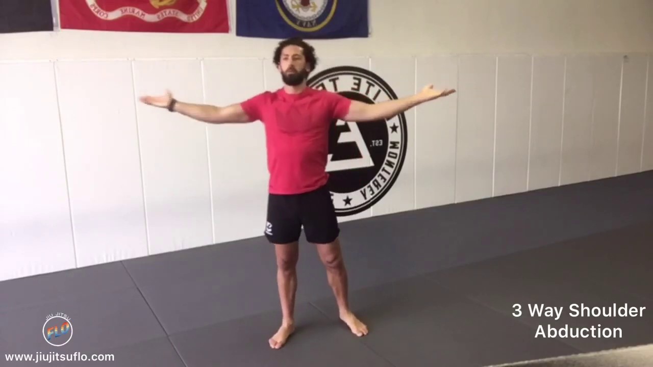 40 Minute HIIT Jiu Jitsu FLO Workout (Follow Along) #2 - No Equipment Needed