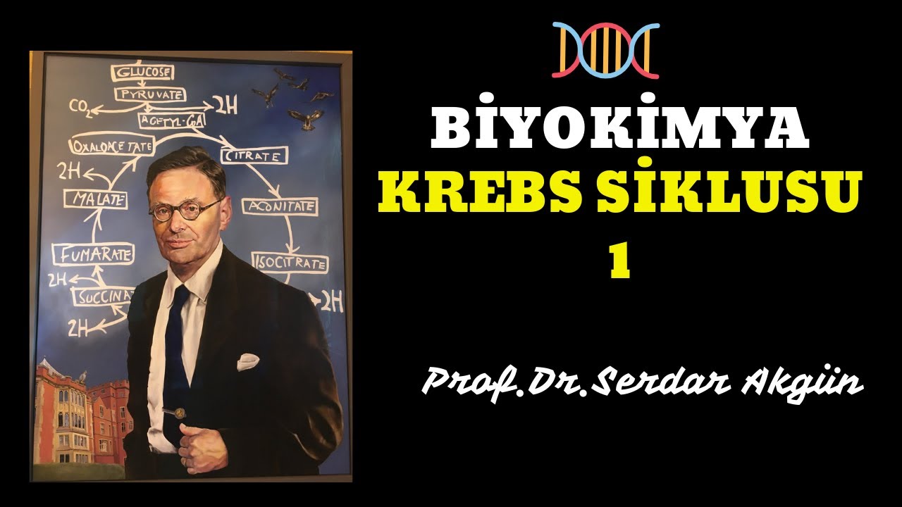 Biyokimya, Krebs Siklusu, 1.Bölüm, Tıp Dersleri, Serdar Akgün