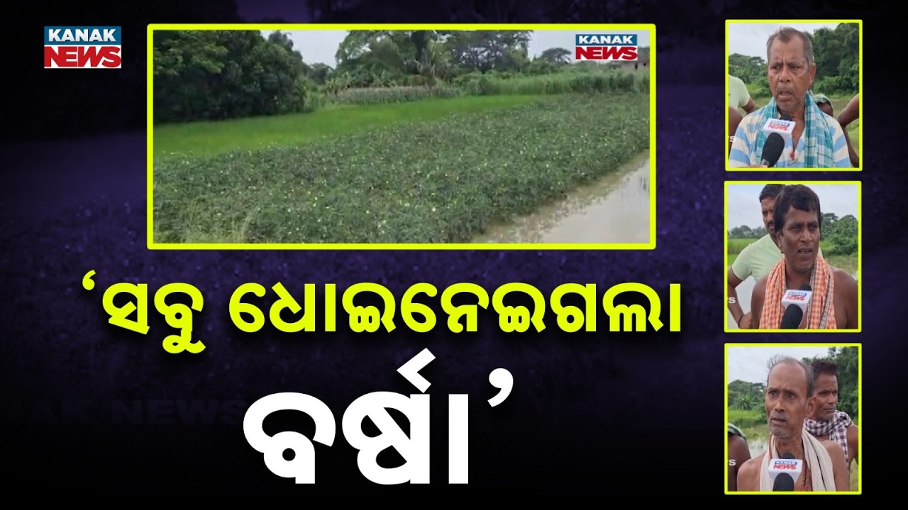 &ldquo;The Rain Took Everything Away&rdquo;: Heartbreaking Flood Story Emerges from Odisha Villages