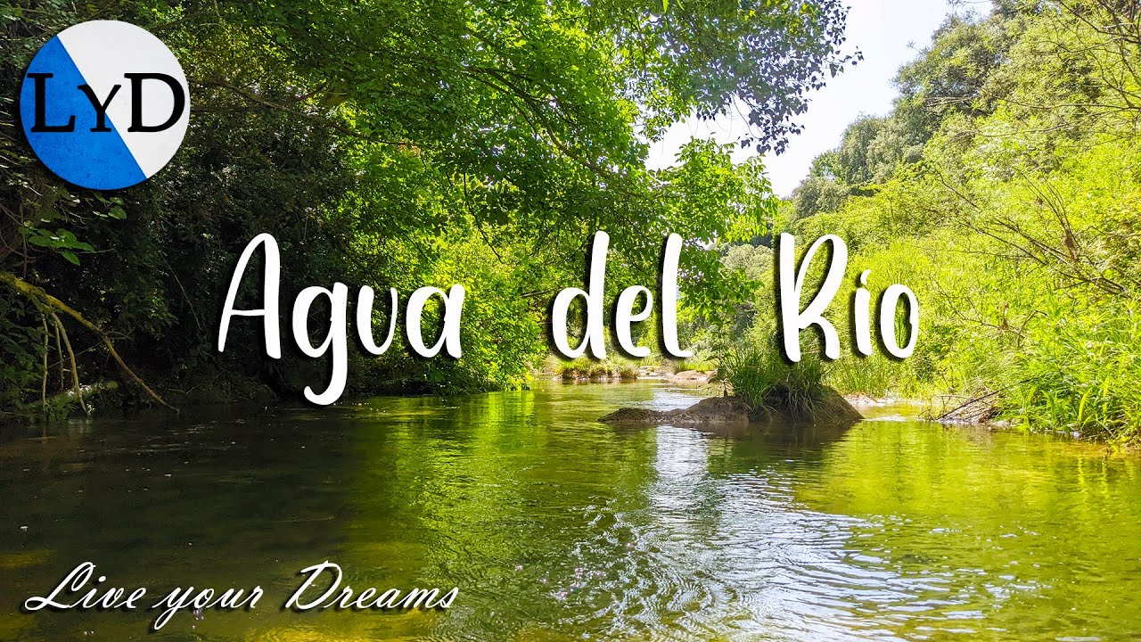 Sonido Relajante de Agua y Canto de Pájaros 🌊🌿 Música Natural para Dormir, Estudiar o Meditar