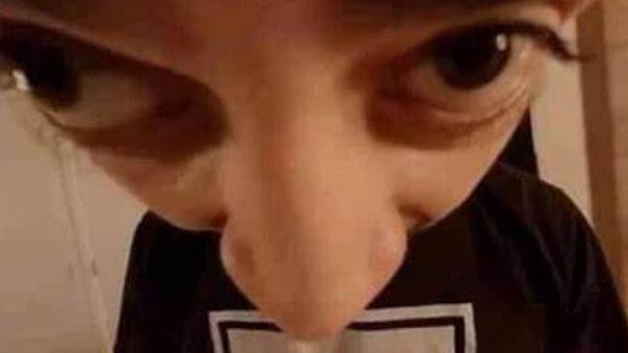 try not to die laughing at tiktok clips