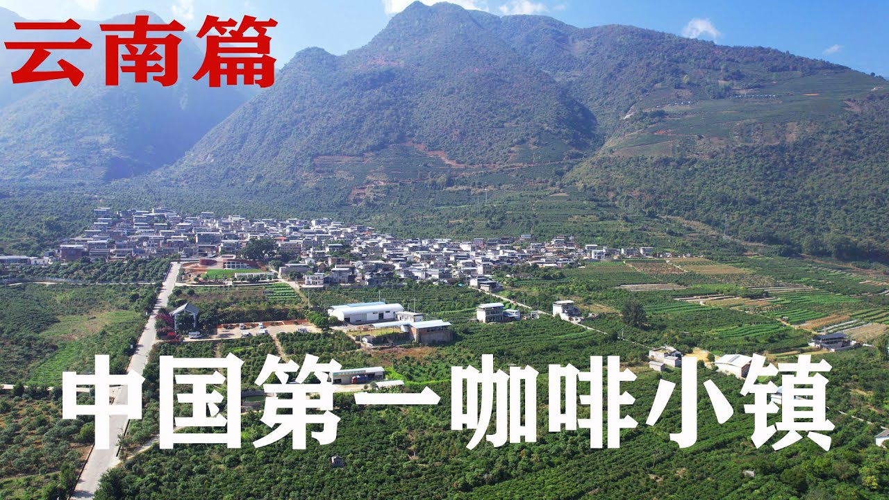 咖啡果的外皮居然可以吃？自驾云南中国咖啡第一镇，潞江坝，东北大叔来了就不想走了