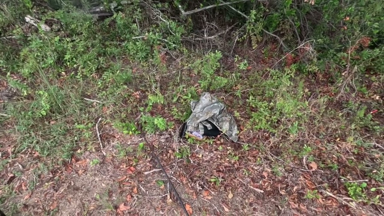 Deer hunting with dogs (2025) deer season action pack !