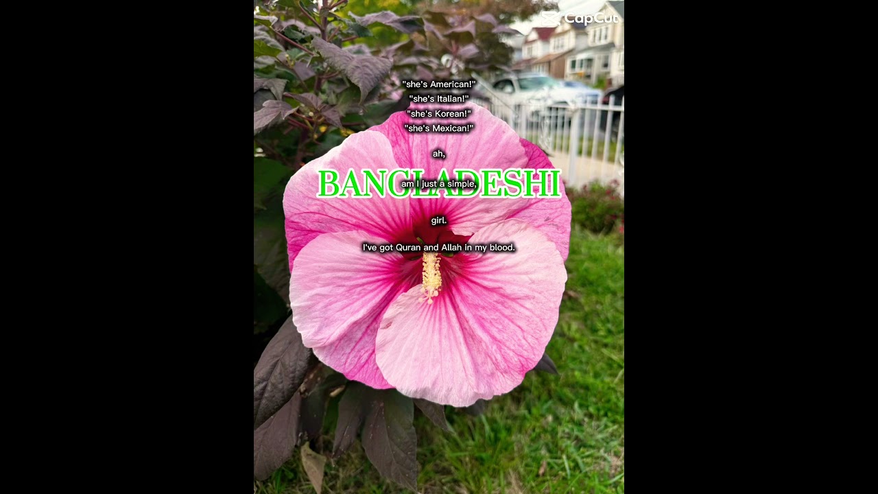 I&rsquo;m just a simple Muslim girl! #shorts #fyp #viral #trend #Pink&blue #capcut