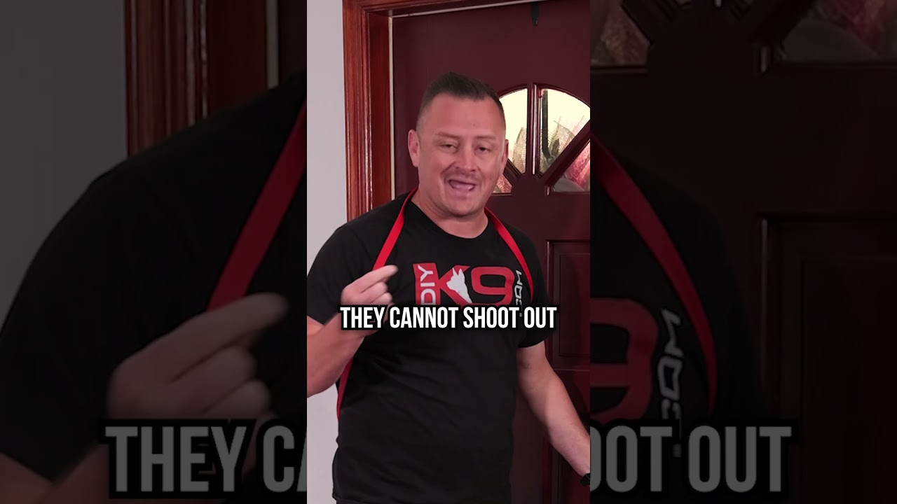 How to Stop Your Dog From Running Out the Door