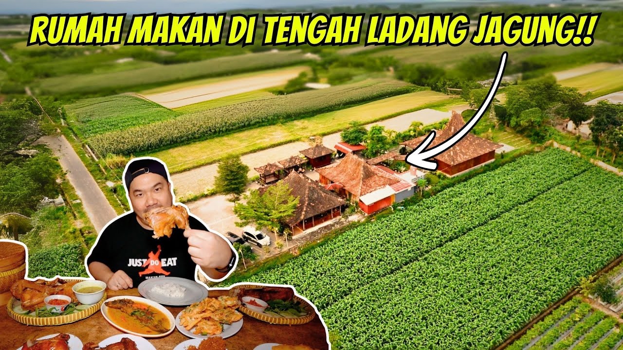 NEMU MAKANAN ENAK DI TENGAH LADANG JAGUNG!!