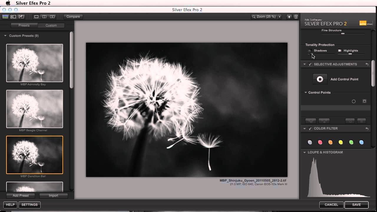 Silver Efex Pro 2 Walkthrough & New Features