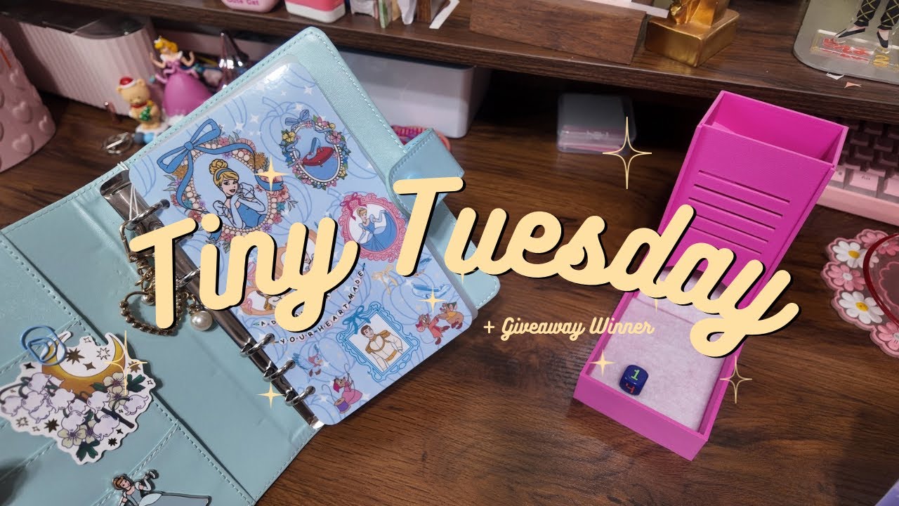 $30 TINY TUESDAY 🎲✨ | GIVEAWAY WINNER 🥇 #tinytuesday #savings 