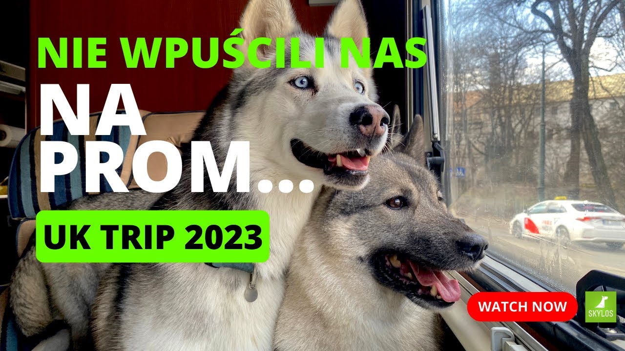 Nie wpuścili nas na prom - UK Trip 2023 - część 1