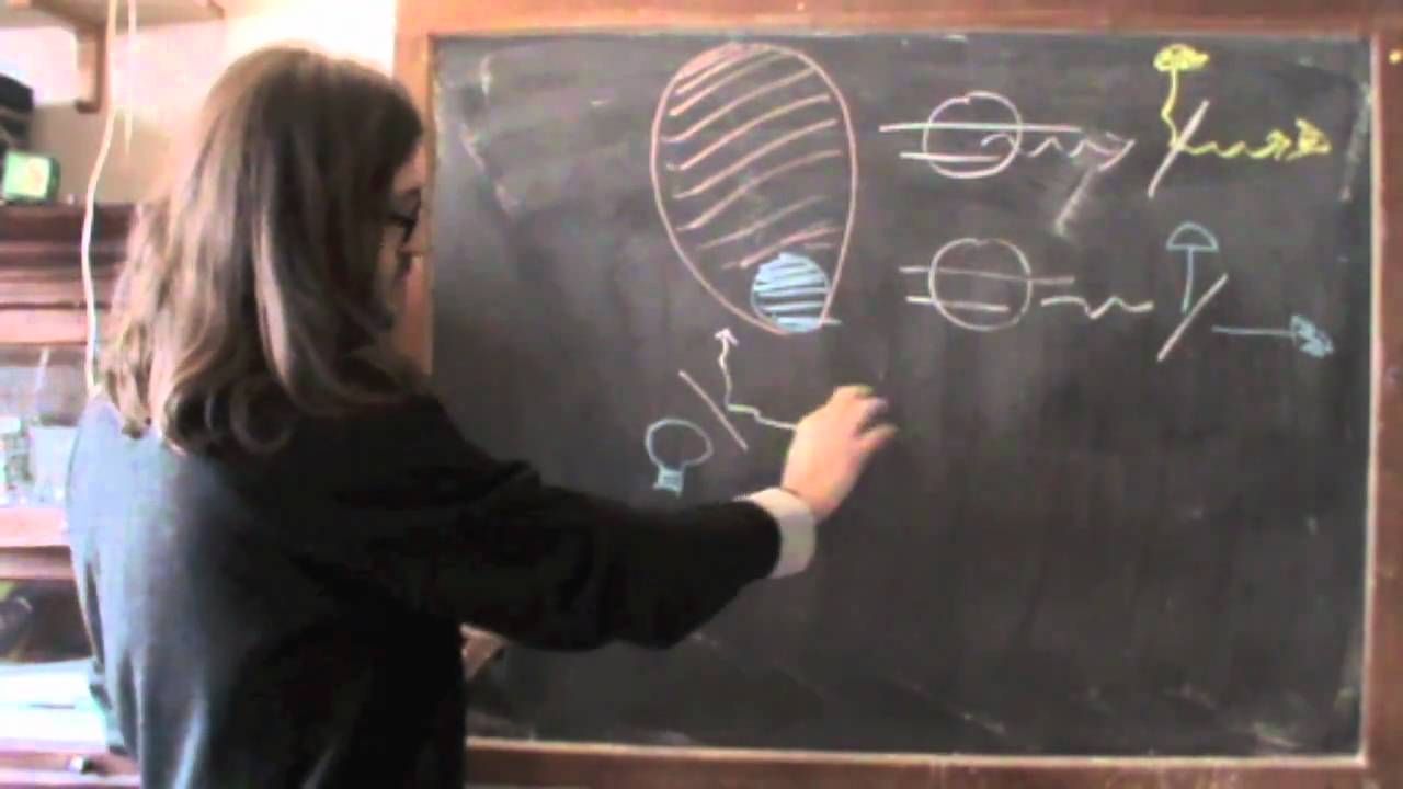 Piccola lezione sull'entanglement