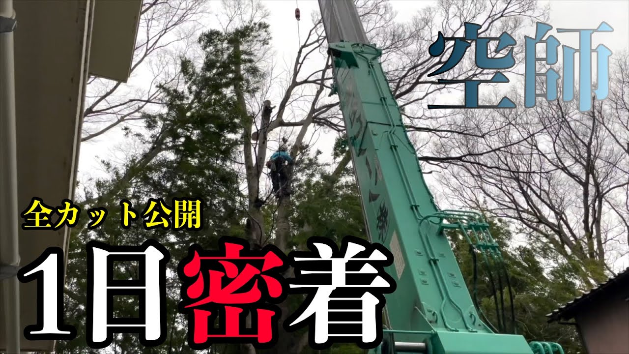 小学校で伐採。レッカー作業を１日密着！【石川県 空師】