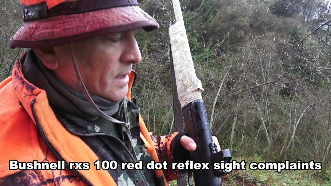 bushnell rxs-100 red dot reflex sight