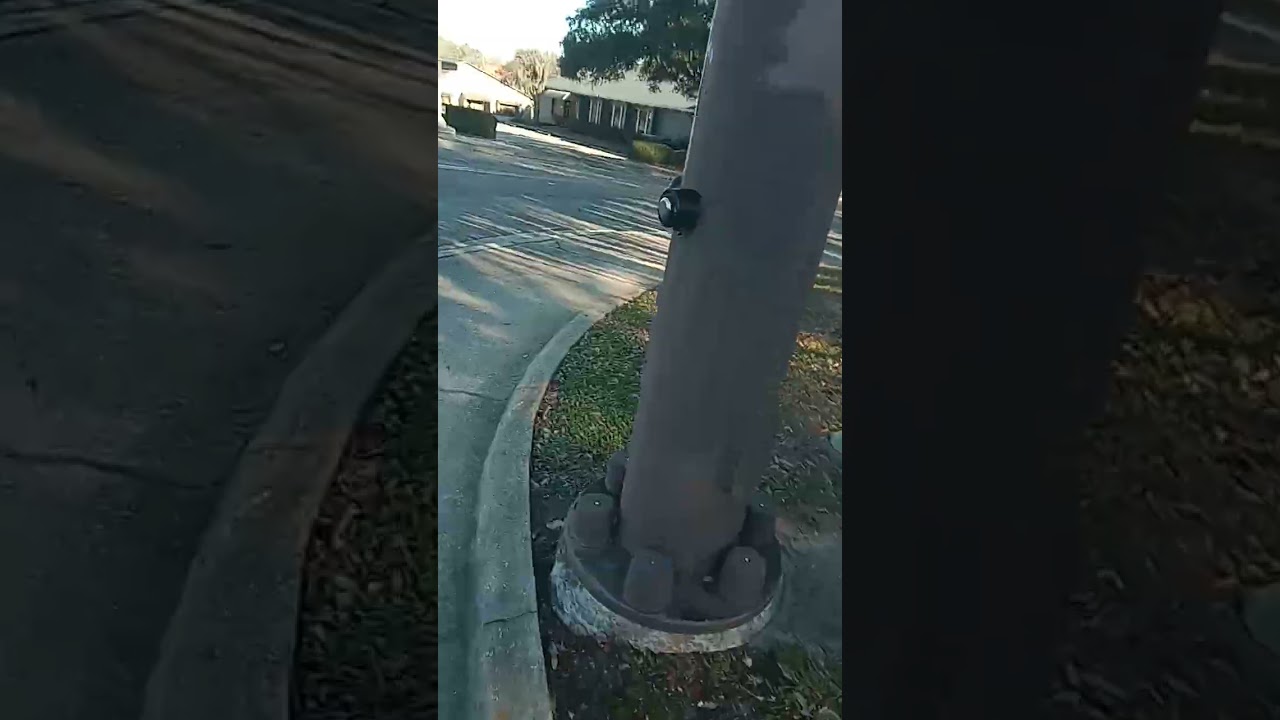Walk.avi 4 