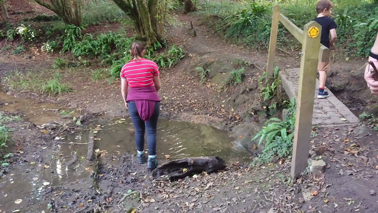 Coombe Hay Locks, Somerset Coal Canal | Days out with the kids | Days out in Somerset
