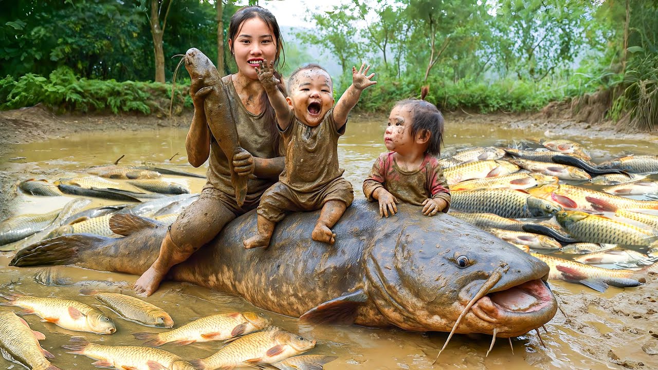 Catching a Giant Fish Pond full of Monster Catfish & Carp by Hand to Sell at Market with my Kids