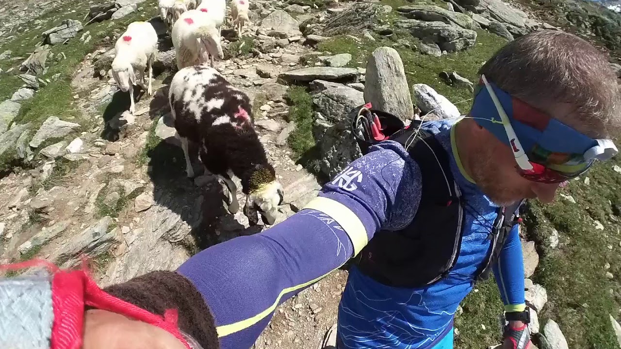 Steinbocklauf, a short story of a long run