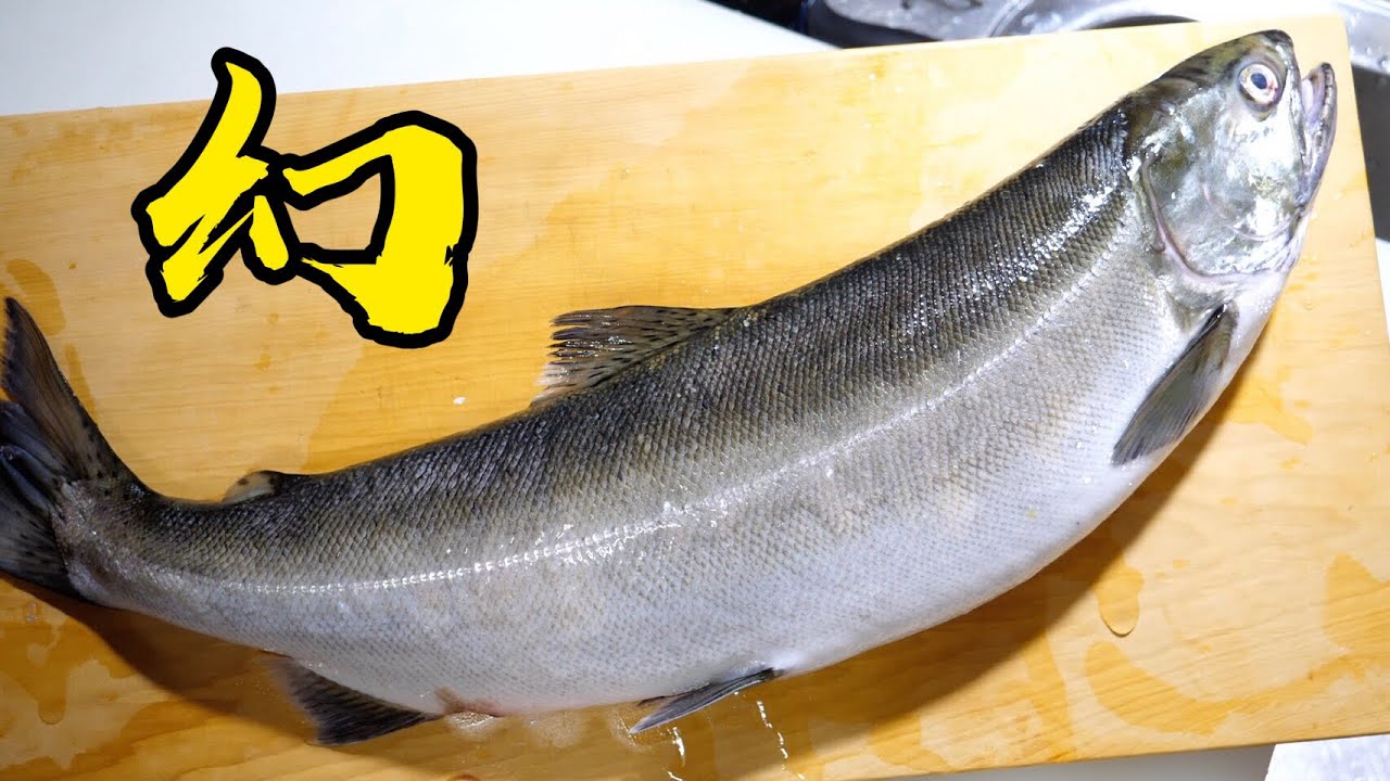 とある湖にしか生息しない幻のサーモン『ビワマス』のうまさがすごかった。【しゃけ茶漬け】