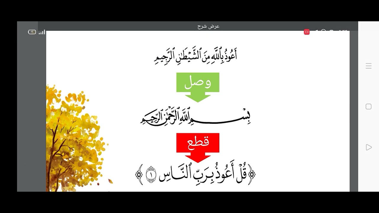 أحكام الإستعاذة والبسملة أول ووسط السور وأول براءة ووسطها وبين الأنفال وبراءة والتنكيس والسكتات