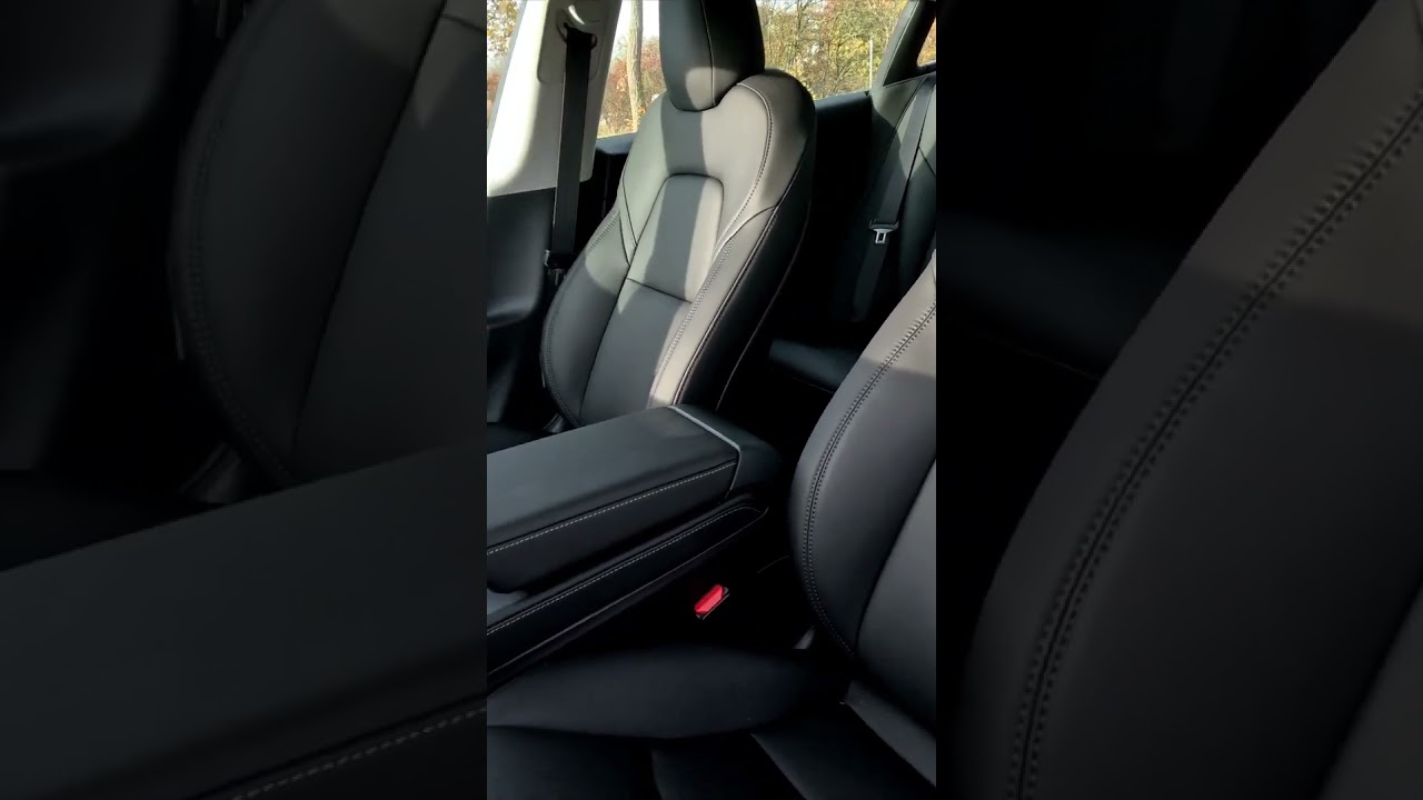 Tesla Performance Sitze ? eher nicht