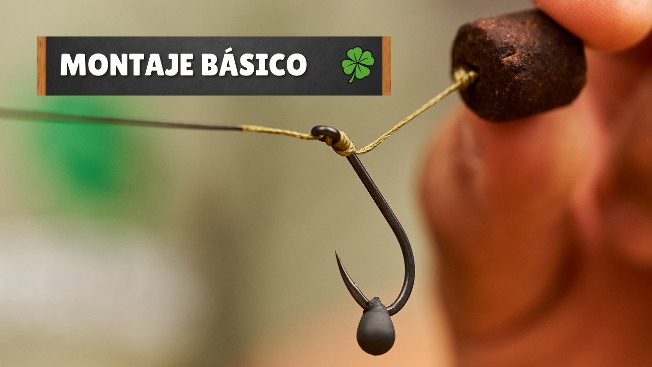 Cómo hacer el Montaje básico – el mejor montaje para empezar