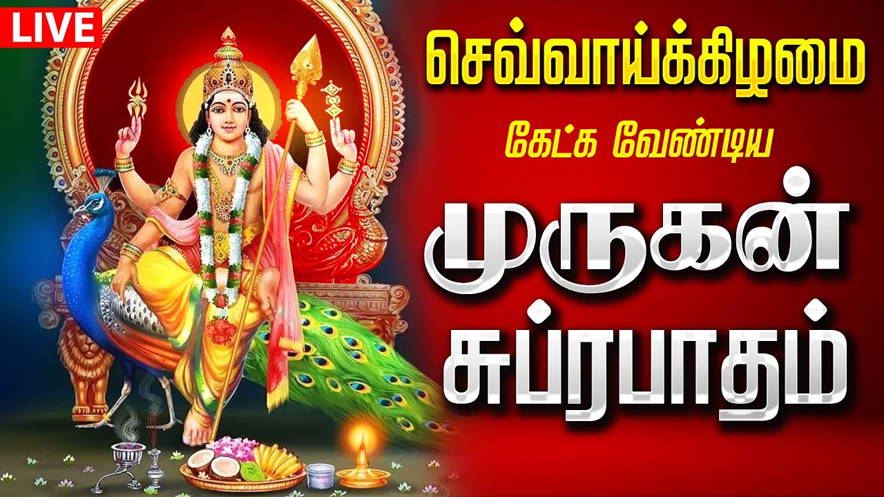 🔴LIVE SONGS | செவ்வாய்க்கிழமை இருள்நீங்கி இன்பம் தரும் சக்தி வாய்ந்த முருகன் சுப்ரபாதம் Murugan
