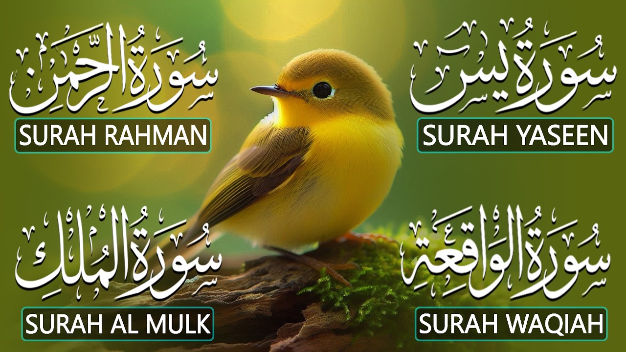 Relax Your Mind Through Quran Tilawat That Soothes Hearts | Surah Yasin  Ar-Rahman Al-Waqiah Al-Mulk