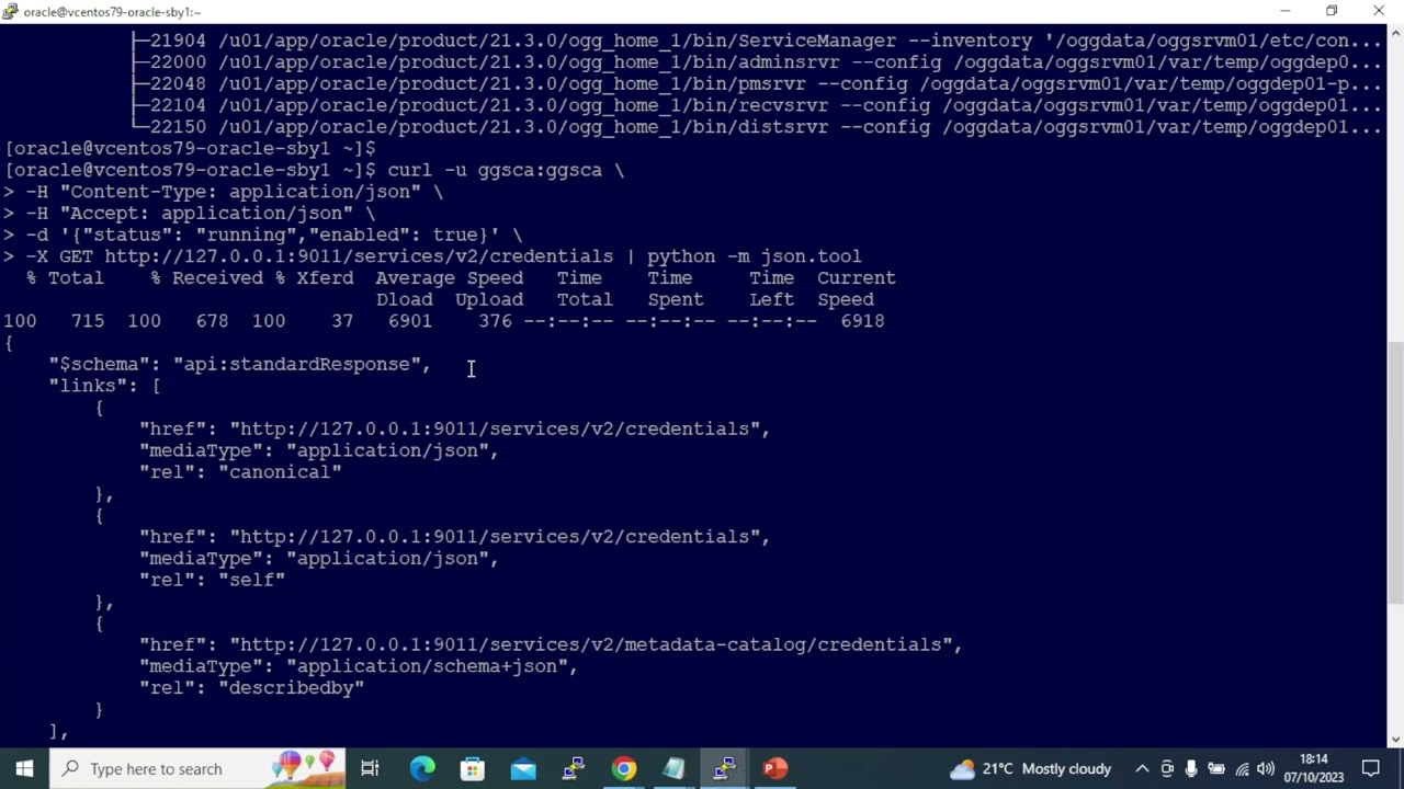 Steps involved in adding credentials to oracle GoldenGate deployment using rest api (curl)