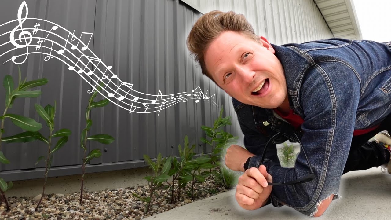 THIS GEOCACHE PLAYS ROCK AND ROLL!? #geocaching #geocache