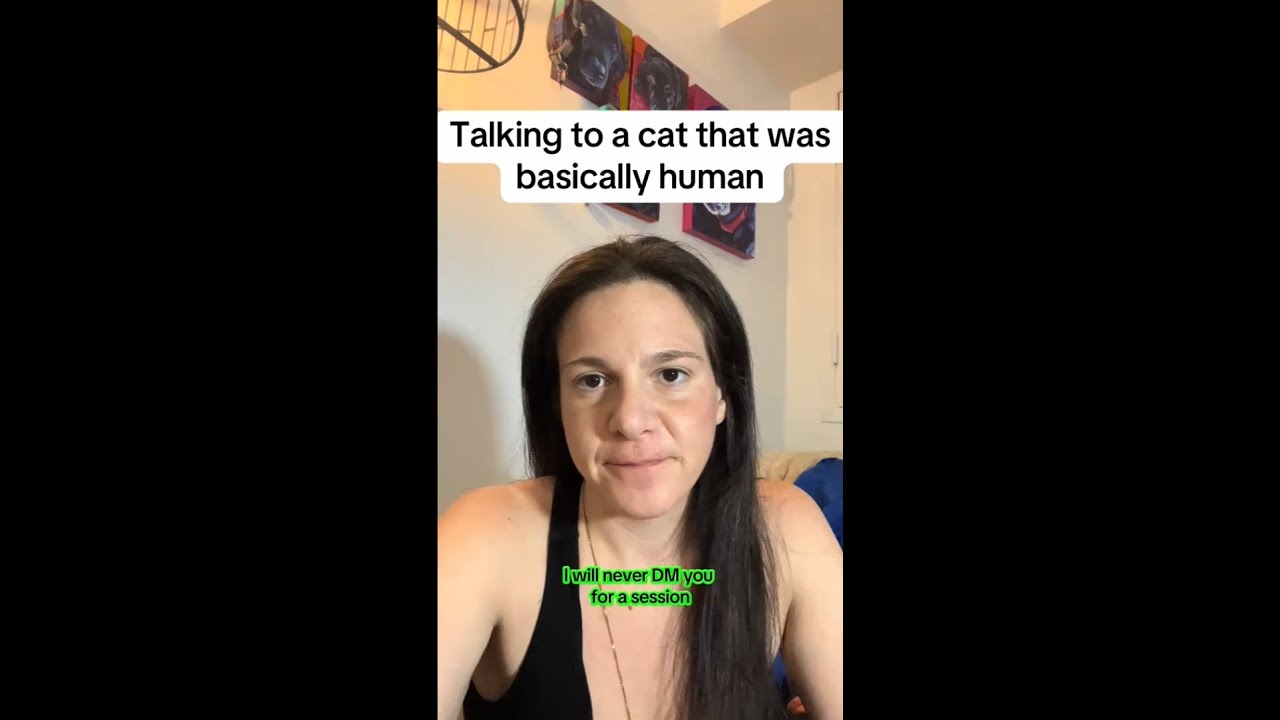 Talking to a cat that was basically a human